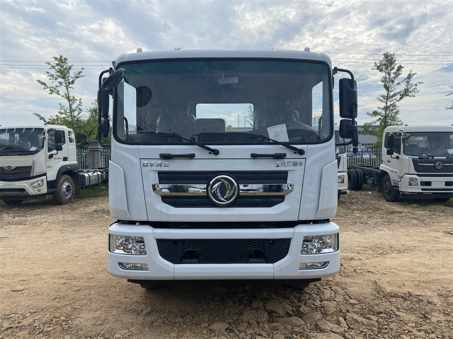 東風(fēng)D9（3950，康明斯230）國六 內(nèi)飾照片圖