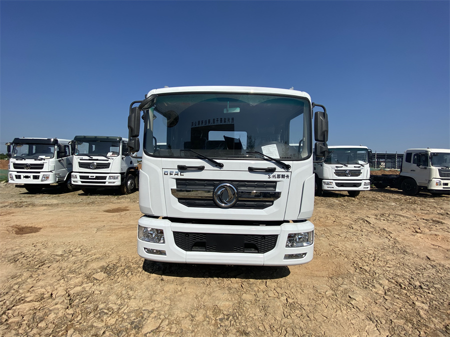 東風(fēng)D9（3950，玉柴165）國六 內(nèi)飾照片圖