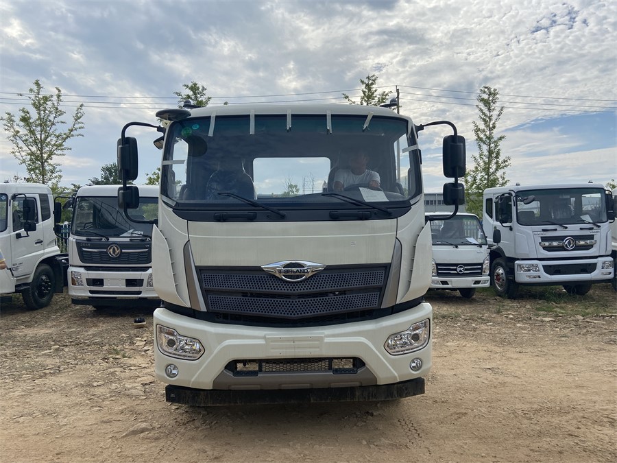 福田ES7（4500，濰柴220）國六 內(nèi)飾照片圖